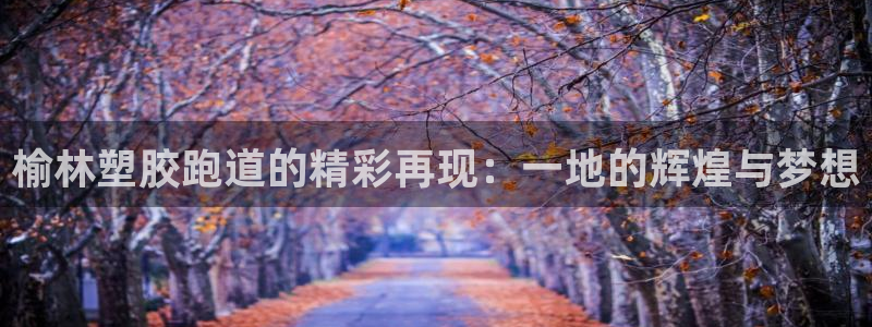 红足一1世官网比分:榆林塑胶跑道的精彩再现:一地的辉煌与梦想