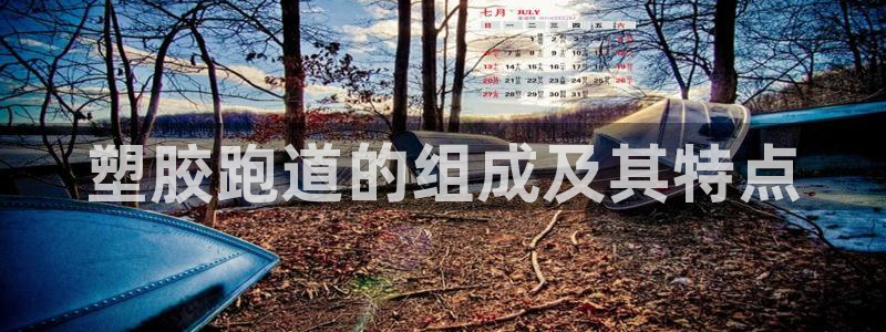 红足一1世官网：塑胶跑道的组成及其特点