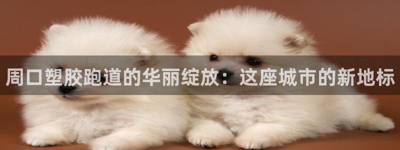 66814红足一66814世：周口塑胶跑道的华丽绽放：这座城市的新地标