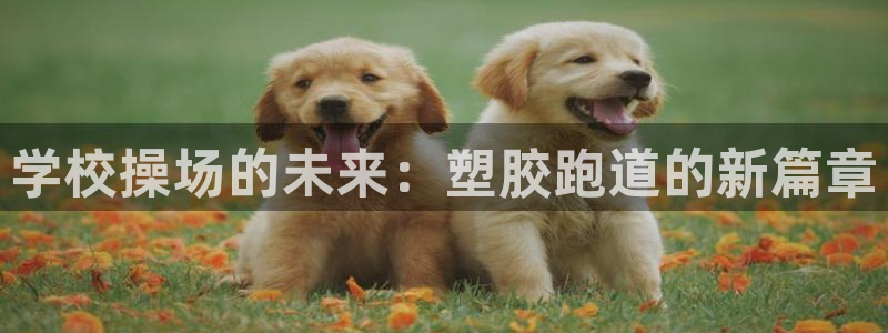 百度红足一1是干什么的：学校操场的未来：塑胶跑道的新篇章