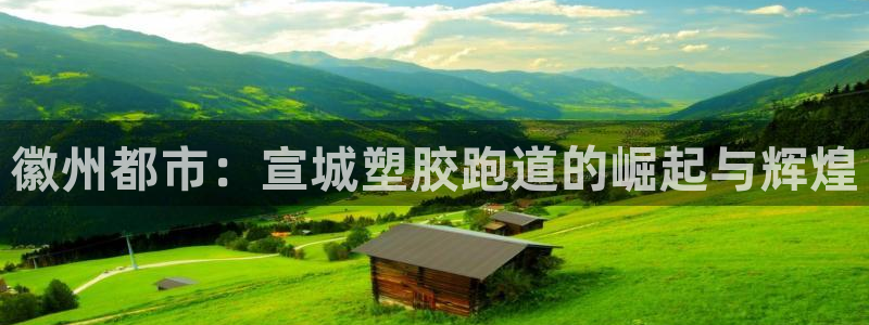 红足一1世77814：徽州都市：宣城塑胶跑道的崛起与辉煌