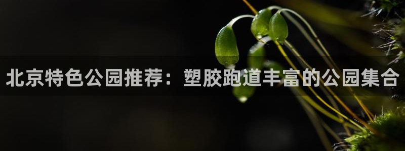红足一1世666814足球比分网:北京特色公园推荐:塑胶跑道丰富的公园集合