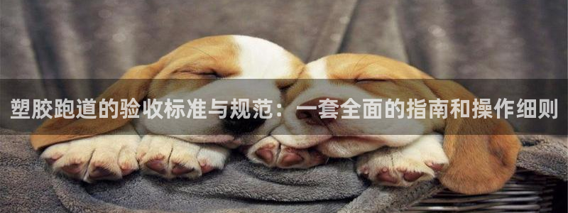 777814红·足一世：塑胶跑道的验收标准与规范：一套全面的指南和操作细则