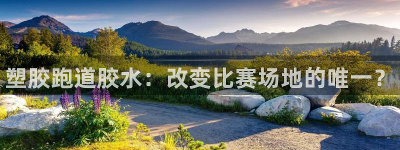 红足1世手机下载：塑胶跑道胶水：改变比赛场地的唯一？