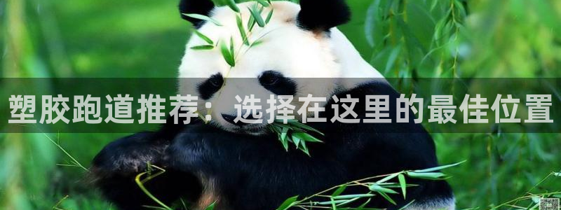 红足一丰：塑胶跑道推荐：选择在这里的最佳位置