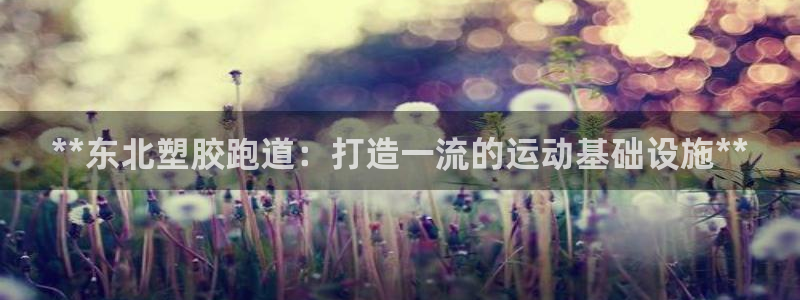 4633333开奖结果4176一点红：**东北塑胶跑道：打造一流的运动基础设施**