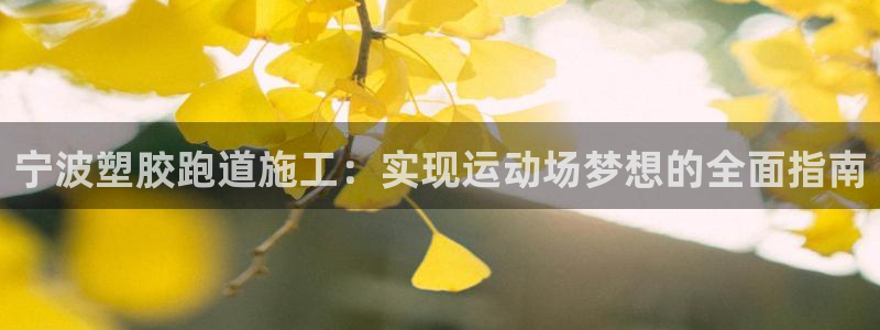 百度红足一1使用说明：宁波塑胶跑道施工：实现运动场梦想的全面指南