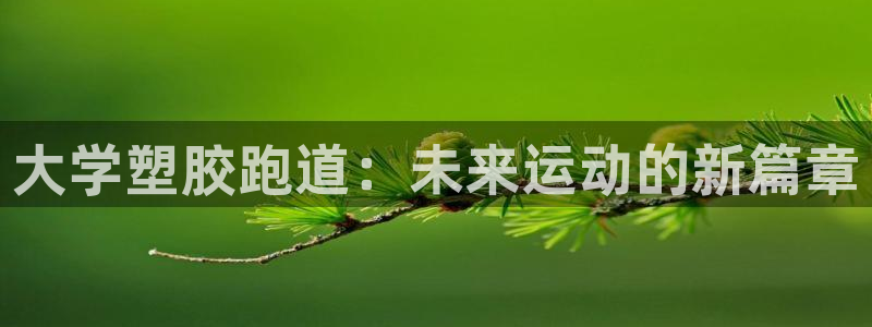 4633333开奖结果4176一点红：大学塑胶跑道：未来运动的新篇章
