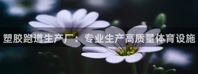 777814红·足一世：塑胶跑道生产厂：专业生产高质量体育设施