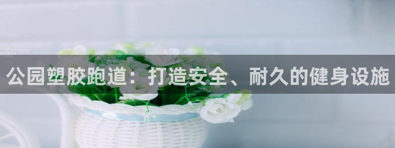 百度红足一1是干什么的：公园塑胶跑道：打造安全、耐久的健身设施