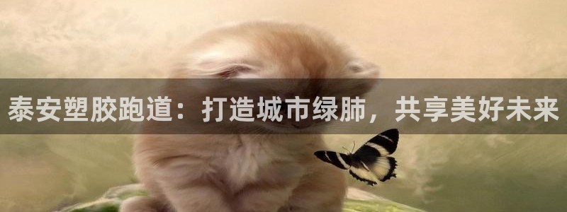 红足一1世比分：泰安塑胶跑道：打造城市绿肺，共享美好未来