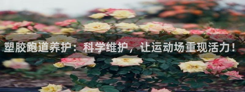 红足一丰：塑胶跑道养护：科学维护，让运动场重现活力！