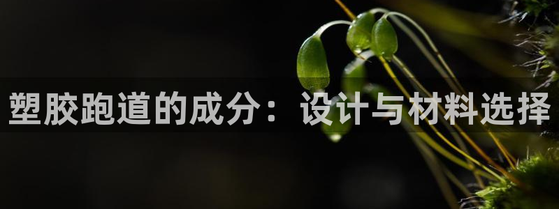 红足一1世66814新宝：塑胶跑道的成分：设计与材料选择