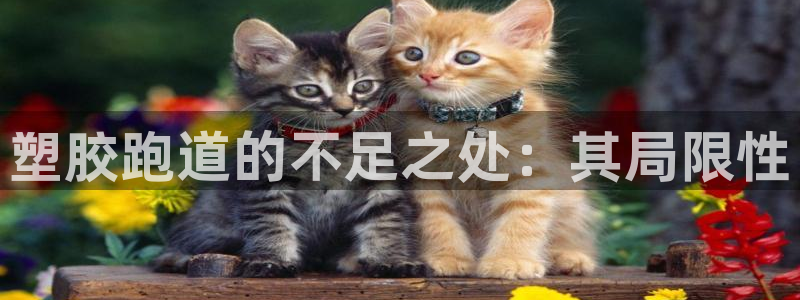 777814红·足一世比分：塑胶跑道的不足之处：其局限性