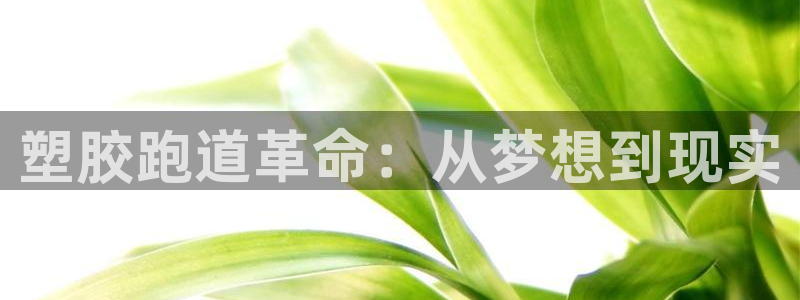 百度红足一1是为什么：塑胶跑道革命：从梦想到现实