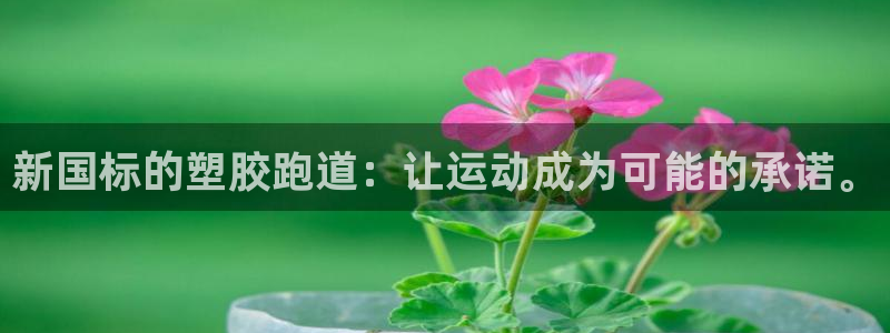 红足一1世官网足球推荐真人：新国标的塑胶跑道：让运动成为可能的承诺。