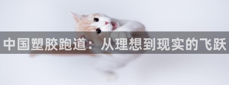 红足一1世开奖记录：中国塑胶跑道：从理想到现实的飞跃