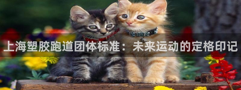 红足一1世平台：上海塑胶跑道团体标准：未来运动的定格印记