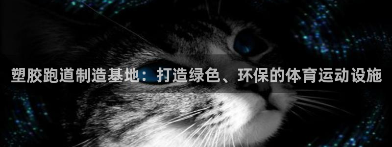 333814红足1世:塑胶跑道制造基地:打造绿色、环保的体育运动设施