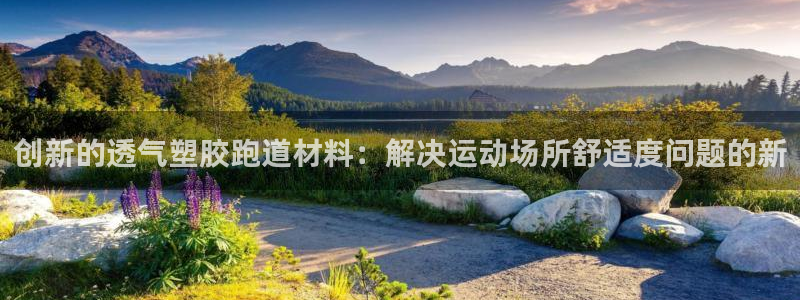 红足1世足球网址大全：创新的透气塑胶跑道材料：解决运动场所舒适度问题的新