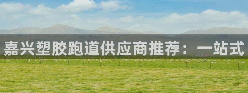 红足一1世66814：嘉兴塑胶跑道供应商推荐：一站式