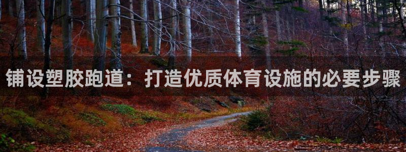 红足1一世 2站：铺设塑胶跑道：打造优质体育设施的必要步骤