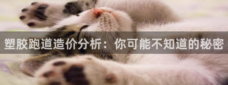 44814红足：塑胶跑道造价分析：你可能不知道的秘密