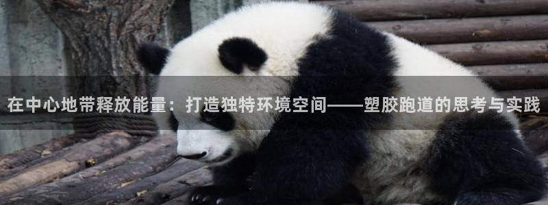 55814红足1世：在中心地带释放能量：打造独特环境空间——塑胶跑道的思考与实践