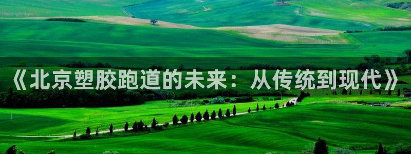 红足1世足球比分：《北京塑胶跑道的未来：从传统到现代》
