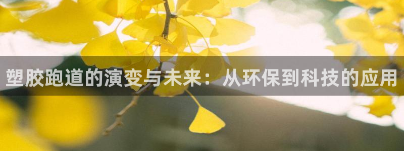 红足1世手机版下载：塑胶跑道的演变与未来：从环保到科技的应用