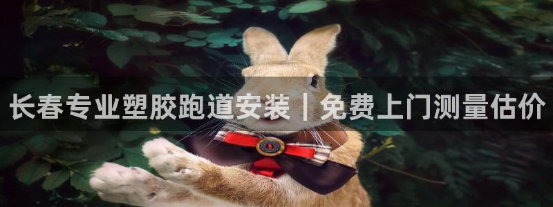 红足1世足球比分:长春专业塑胶跑道安装|免费上门测量估价