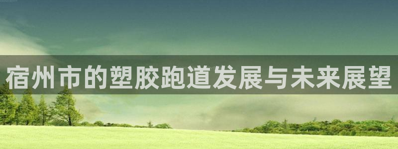 红足i世足球手机网：宿州市的塑胶跑道发展与未来展望