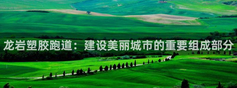 红足一比分网：龙岩塑胶跑道：建设美丽城市的重要组成部分