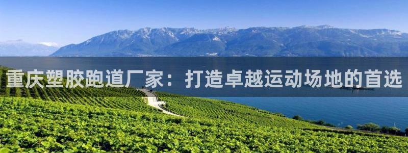 红足1世足球比分预测：重庆塑胶跑道厂家：打造卓越运动场地的首选