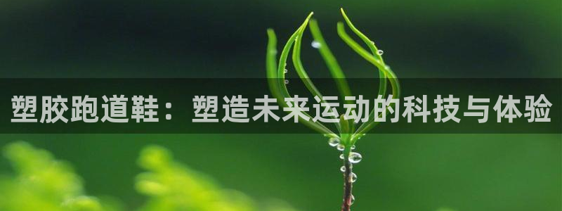 百度红足一1是为什么：塑胶跑道鞋：塑造未来运动的科技与体验