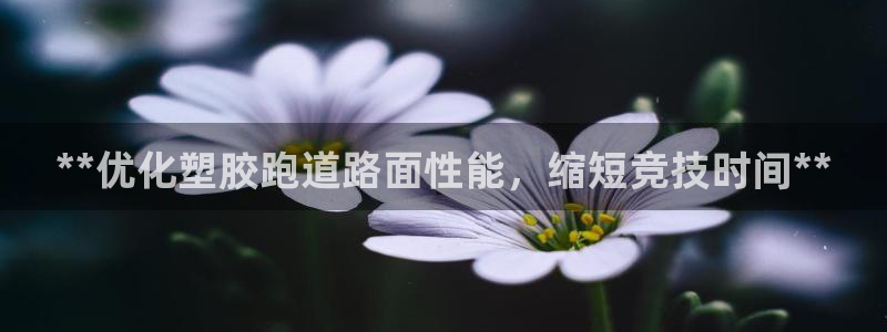 红足一1世手机版新皇冠：**优化塑胶跑道路面性能，缩短竞技时间**