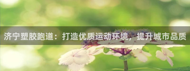 红足1一世开奖版：济宁塑胶跑道：打造优质运动环境，提升城市品质