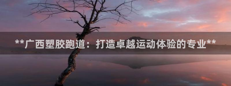 红足一1世比分球探：**广西塑胶跑道：打造卓越运动体验的专业**