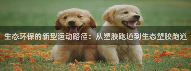 红足一1世开奖记录:生态环保的新型运动路径:从塑胶跑道到生态塑胶跑道