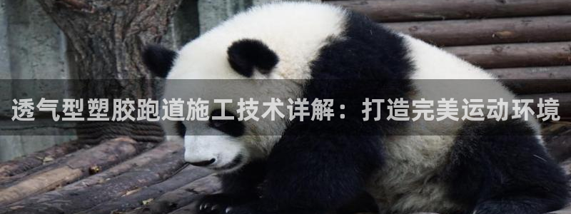 红足1世手机下载:透气型塑胶跑道施工技术详解:打造完美运动环境