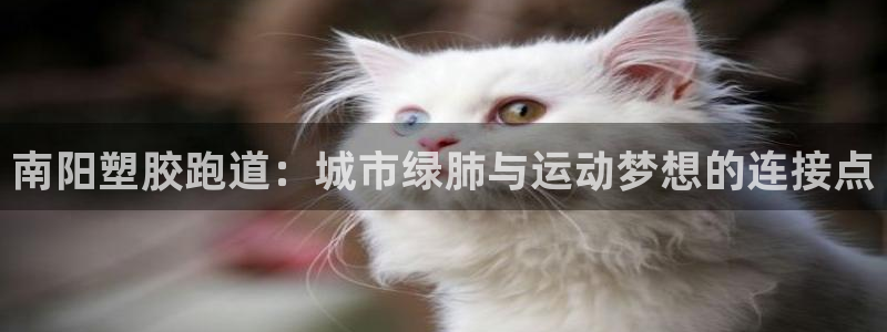 红足一1世比分网:南阳塑胶跑道:城市绿肺与运动梦想的连接点