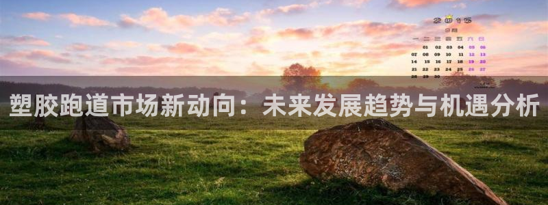 777814红·足一世比分篮球:塑胶跑道市场新动向:未来发展趋势与机遇分析