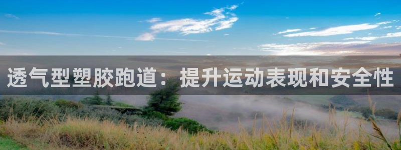 红足一1世手机版新皇冠:透气型塑胶跑道:提升运动表现和安全性