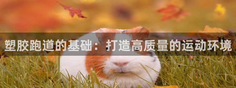 红足一1世：塑胶跑道的基础：打造高质量的运动环境