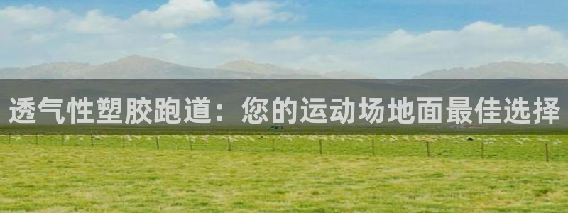新2足球平台出租网站:透气性塑胶跑道:您的运动场地面最佳选择
