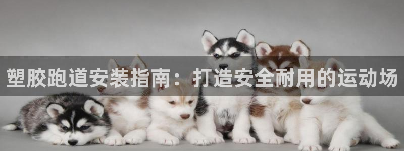 66814红足:塑胶跑道安装指南:打造安全耐用的运动场