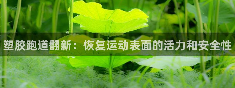 红足一1世官网：塑胶跑道翻新：恢复运动表面的活力和安全性
