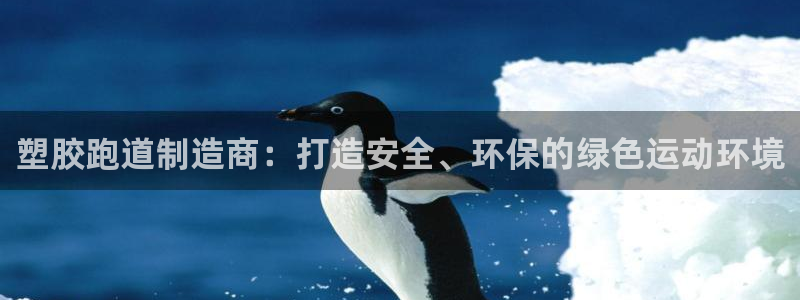 红足 世足球手机网：塑胶跑道制造商：打造安全、环保的绿色运动环境