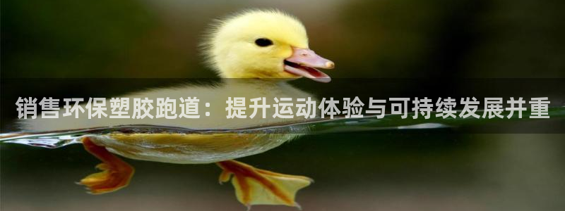 红足i世足球手机网：销售环保塑胶跑道：提升运动体验与可持续发展并重