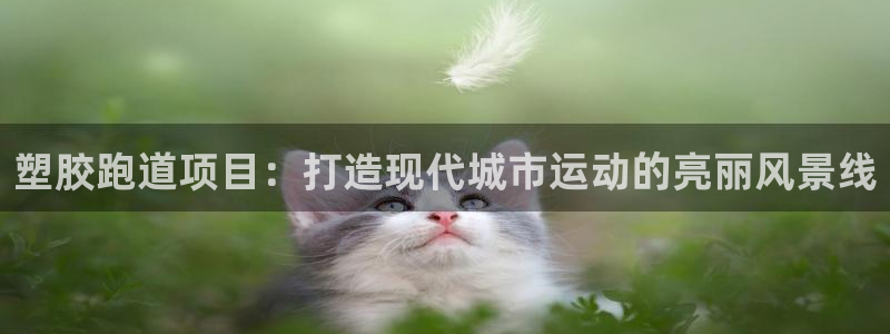 红足1一世开奖版：塑胶跑道项目：打造现代城市运动的亮丽风景线